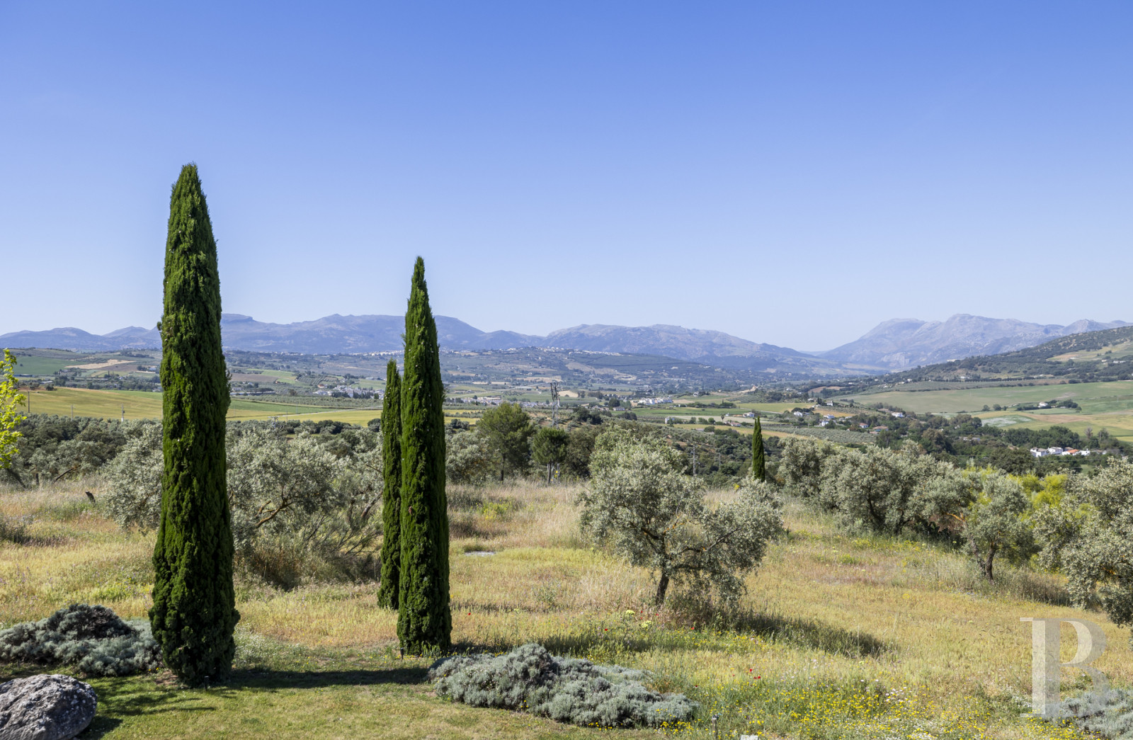 Au sud de l’Espagne, près de Ronda, une villa d’architecte au cœur des terres andalouses - photo  n°5